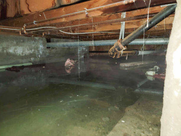  Daytona Beach, FL Water damage restoration Pros