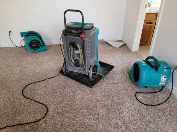 Best Flood damage cleanup  in Daytona Beach, FL