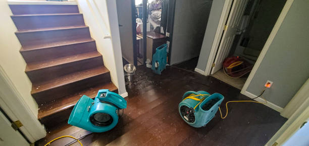 Best Sewage cleanup and water damage restoration  in Daytona Beach, FL