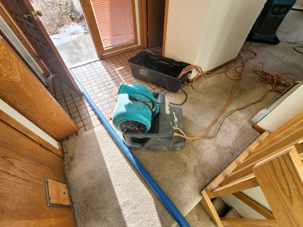 Best Fire Damage Restoration  in Daytona Beach, FL