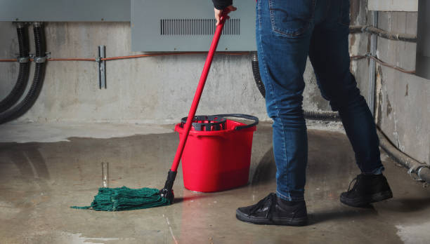 Best Professional water damage repair  in Daytona Beach, FL