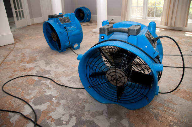 Best Basement water damage restoration  in Daytona Beach, FL
