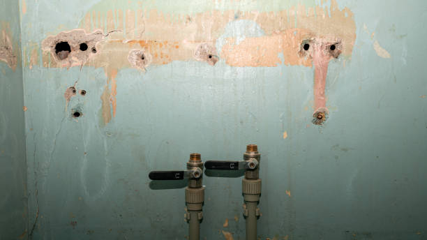 Best Emergency water damage restoration  in Daytona Beach, FL