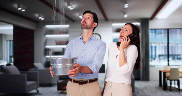 Best 24-hour water damage restoration  in Daytona Beach, FL