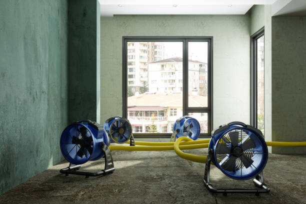 Best Water damage cleanup near me  in Daytona Beach, FL